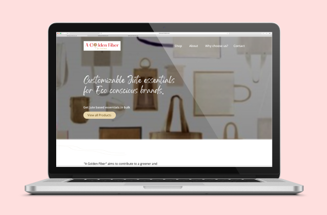 Ecommerce websites (2)