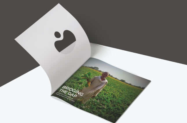 BrochureBookdesign-2